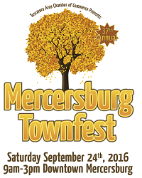 mercersburgtownfest2016-2